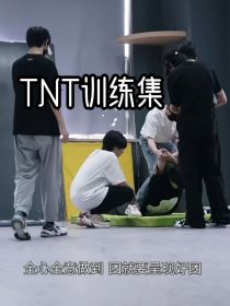 TNT训练集贺峻霖