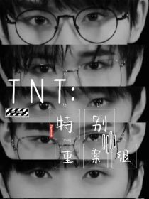 TNT：特别重案组