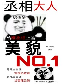 丞相大人美貌NO1