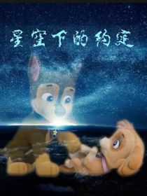 汪汪队：星空下的约定