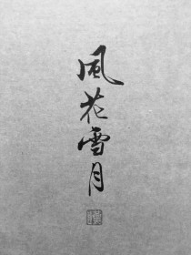 双落字态城