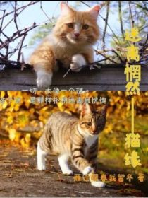 谜离惘然——猫缘