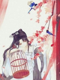 《落花如梦》