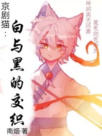 京剧猫：白与黑的交织