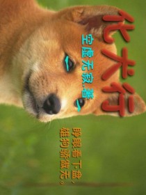 化犬行