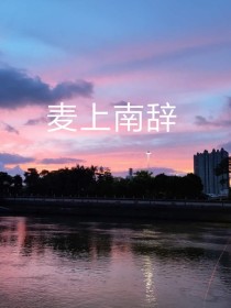 麦上南辞