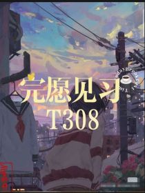 完愿天使T308