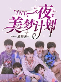 TNT：一夜美梦计划