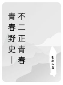 青春野史——不二正青春