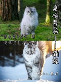 桑榆暮影——猫缘