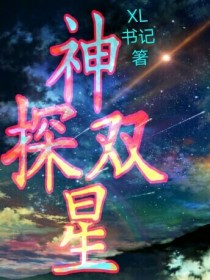 神探双星