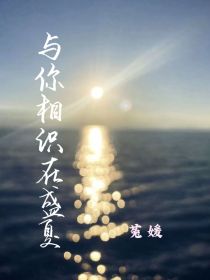 与你相识在盛夏