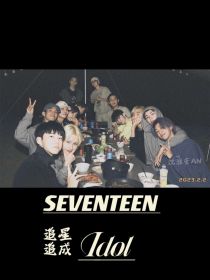 SEVENTEEN：追星追成idol