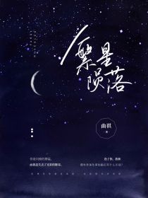 繁星陨落o