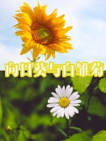 向日葵与白雏菊