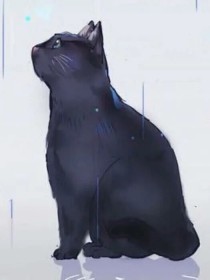 第五人格：黑猫暴走请注意