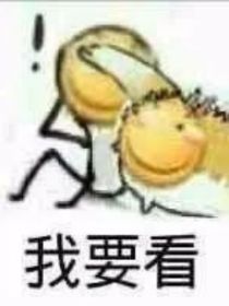 我的世界：精卫