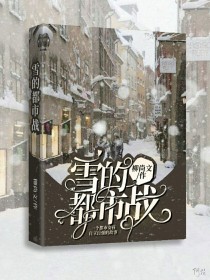 雪的都市战