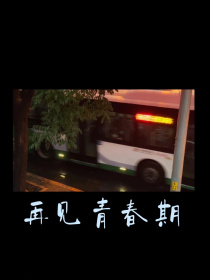 再见我的青春期