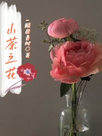 山茶之花