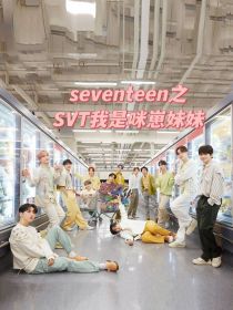 seventeen之SVT我的哥哥是丝丝