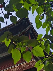 师门全都是大佬