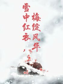 雪中红衣，梅绽风华