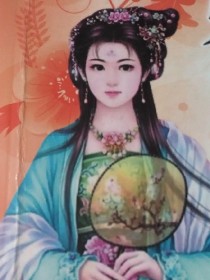 帮主独宠妻