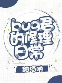 bug君的修理日常