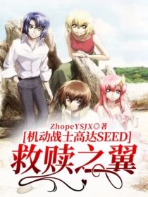 机动战士高达SEED：救赎之翼