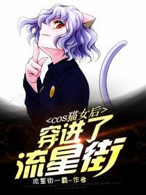 cos猫女后穿进了流星街