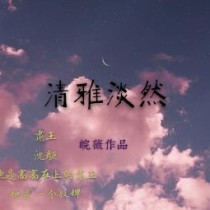 清雅淡然