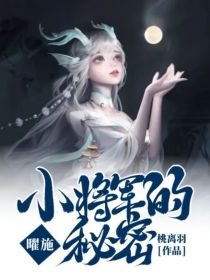 曜施：小将军的秘密