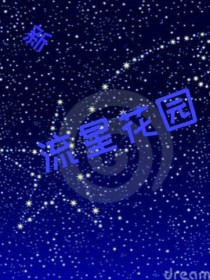 新流星花园