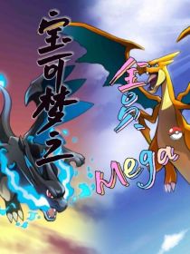 宝可梦之全员mega