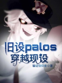 旧设palos穿越现设