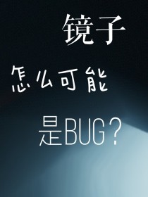 镜子怎么可能是bug？