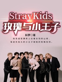 StrayKids：玫瑰与小王子