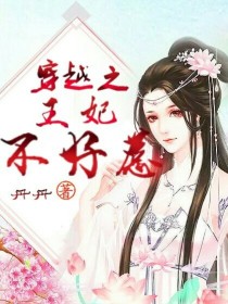 穿越之王妃不好惹.