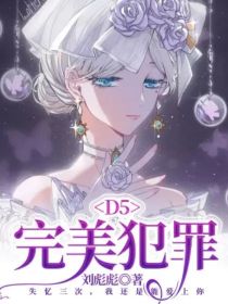 D5：完美犯罪