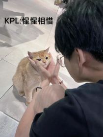 KPL：惺惺相惜