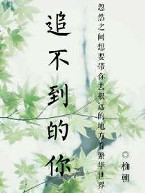 追不到的你