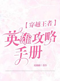 穿越王者：英雄攻略手册