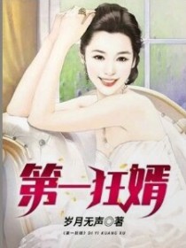 第一狂婿（小说）