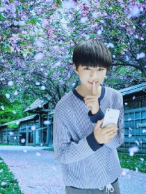 tfboys之霸道校草王俊凯